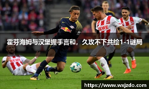 霍芬海姆与汉堡握手言和，久攻不下共绘1-1谜局