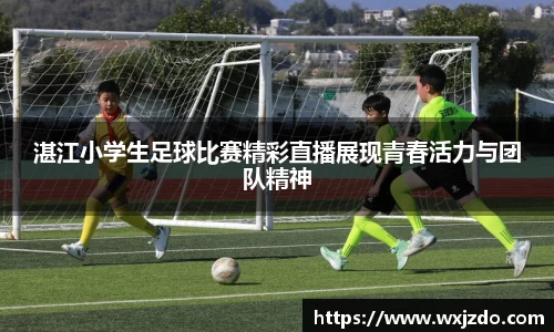 湛江小学生足球比赛精彩直播展现青春活力与团队精神