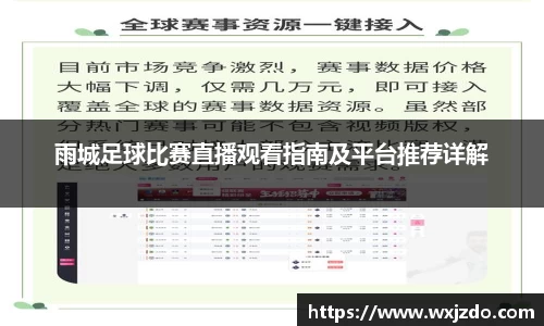 雨城足球比赛直播观看指南及平台推荐详解