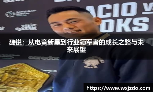 魏锐：从电竞新星到行业领军者的成长之路与未来展望